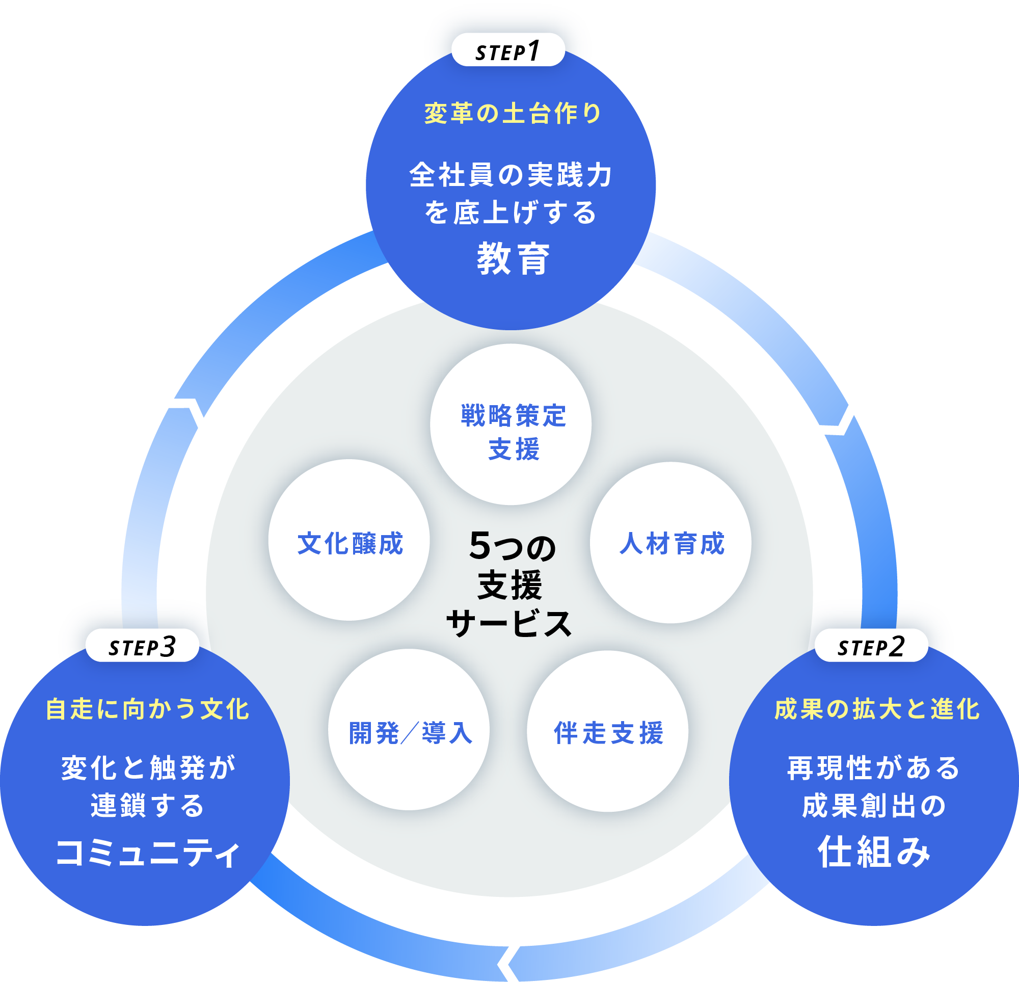 変革の3つのステップ：STEP1 変革の土台づくり、STEP2 成果の拡大と進化、STEP3 自走に向かう文化の循環図