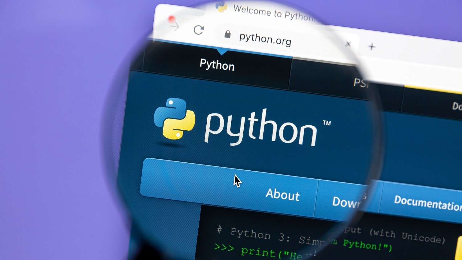 入門】Pythonとは｜活用事例やメリット、できること、学習方法を解説